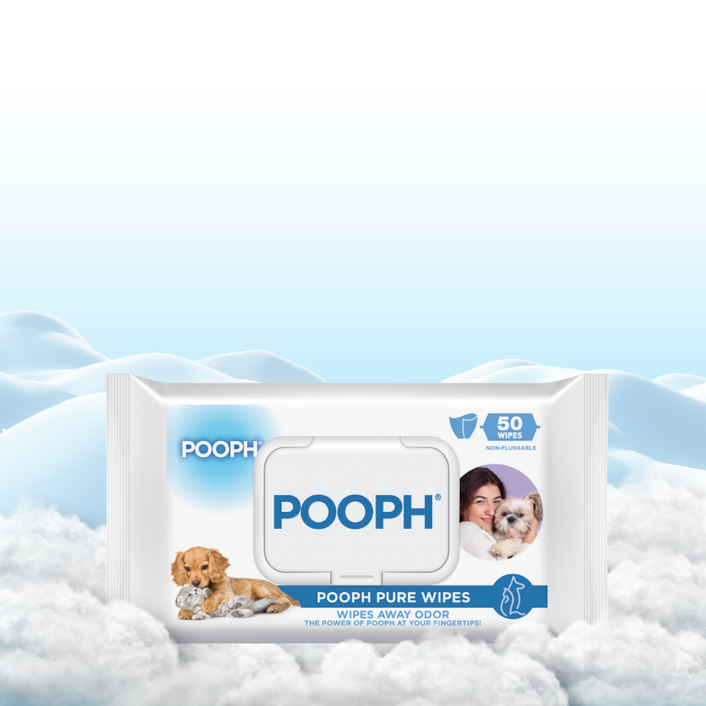 Purr Package - Image 5