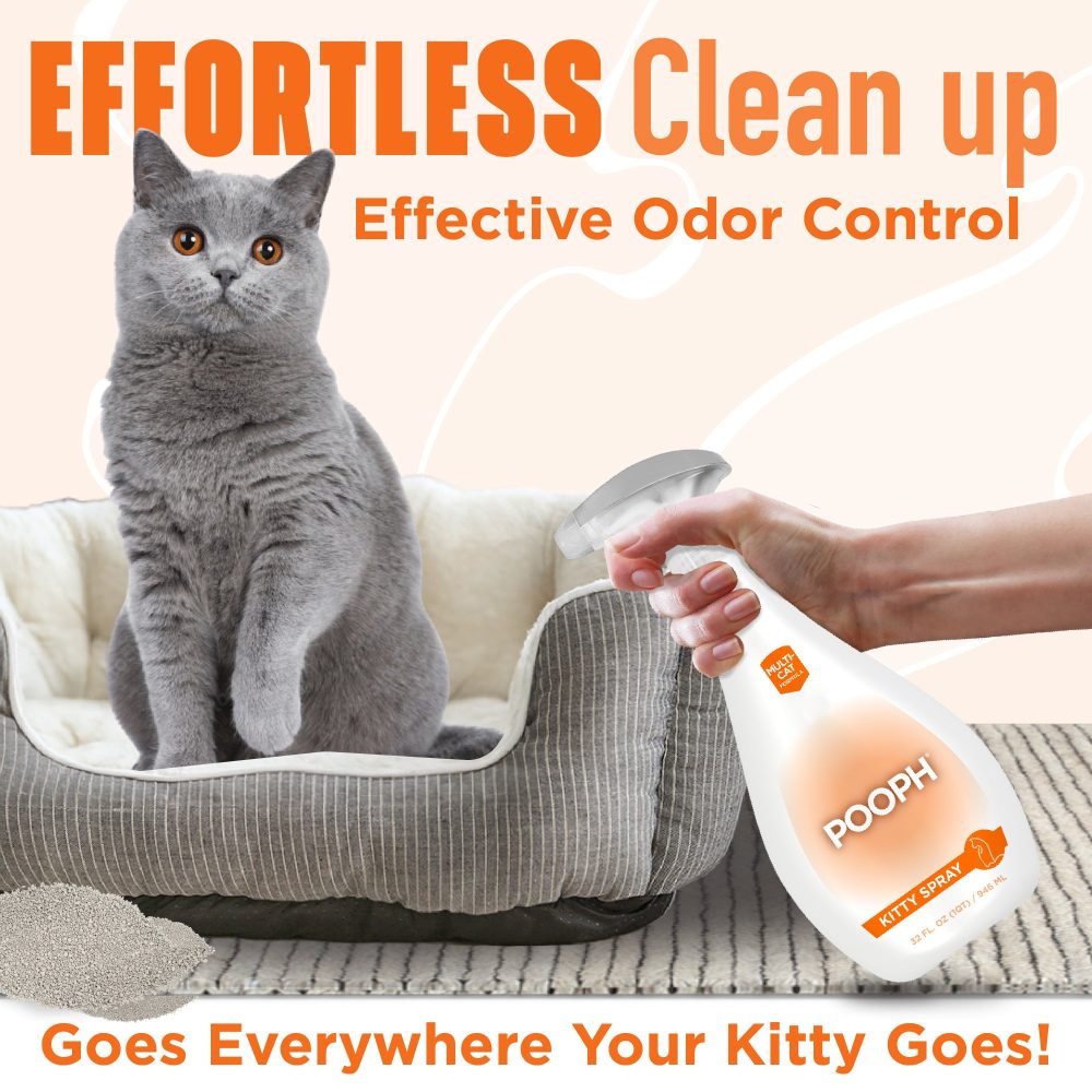 POOPH® Kitty Spray - Image 2